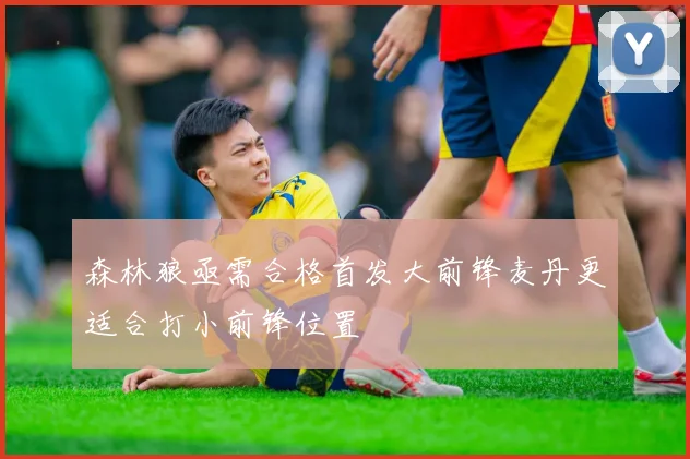 森林狼亟需合格首发大前锋麦丹更适合打小前锋位置